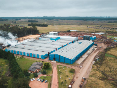 First Mass timber plant in Uruguay