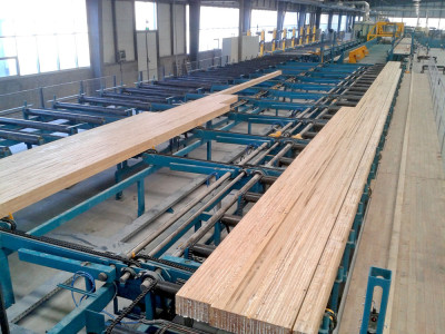 Glulam plant in China put into commission