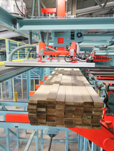 CLT plant successfully put into operation at ante-holz