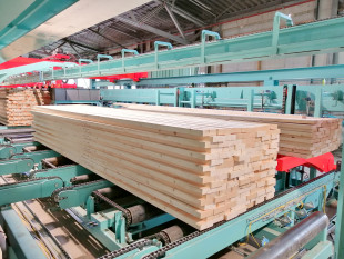 CLT plant successfully put into operation at ante-holz