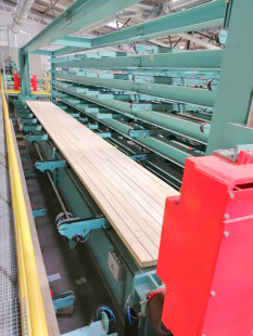 CLT plant successfully put into operation at ante-holz