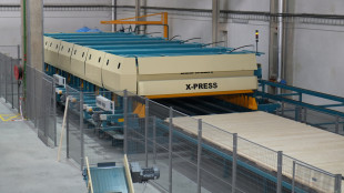 Пресс для панелей CLT - X-Press 14 м