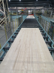16. Longitudinal CLT panel push off unit with outfeed conveyor