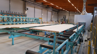 10-chain-conveyor-for-glulam-beams