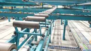 Roll conveyors