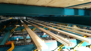 Chain conveyors