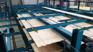 Chain conveyors